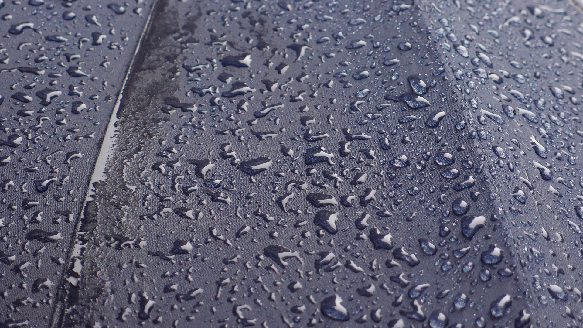 2021-08 Das Kleine Regen Rhythmus Orchester (Audio, Video, Grafk, Foto)